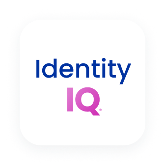 IdentityIQ Essentials icon