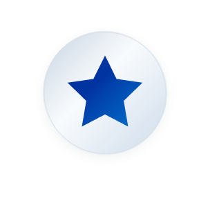 decorative platinum star