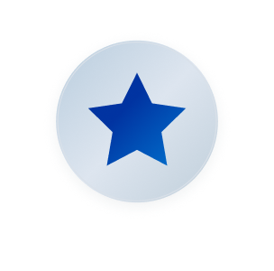 decorative silver star