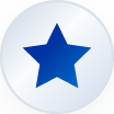 decorative platinum star