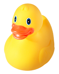 rubber duck