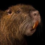 __invited__eric_shult