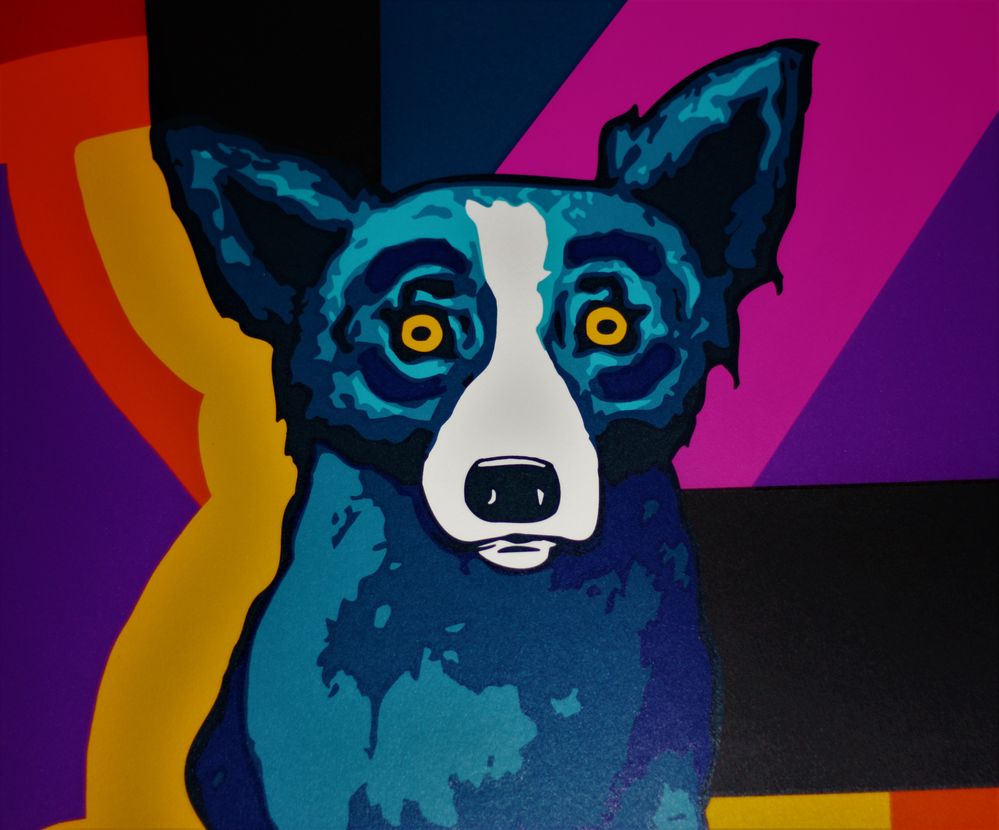 blueDog.jpg