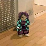 Profile (ultraxcode)