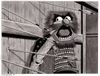 throne of blood muppet.jpg