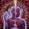 lateralus_album_cover.jpg