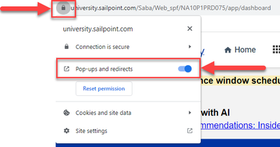 Pop-ups and redirects.png