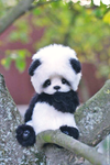 Panda.png