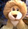 Lion_300x300.jpg