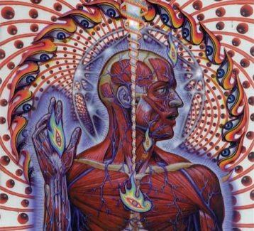Tool Lateralus.png