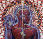 Tool Lateralus.png