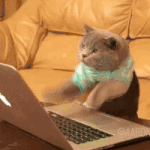 HackerCat.gif