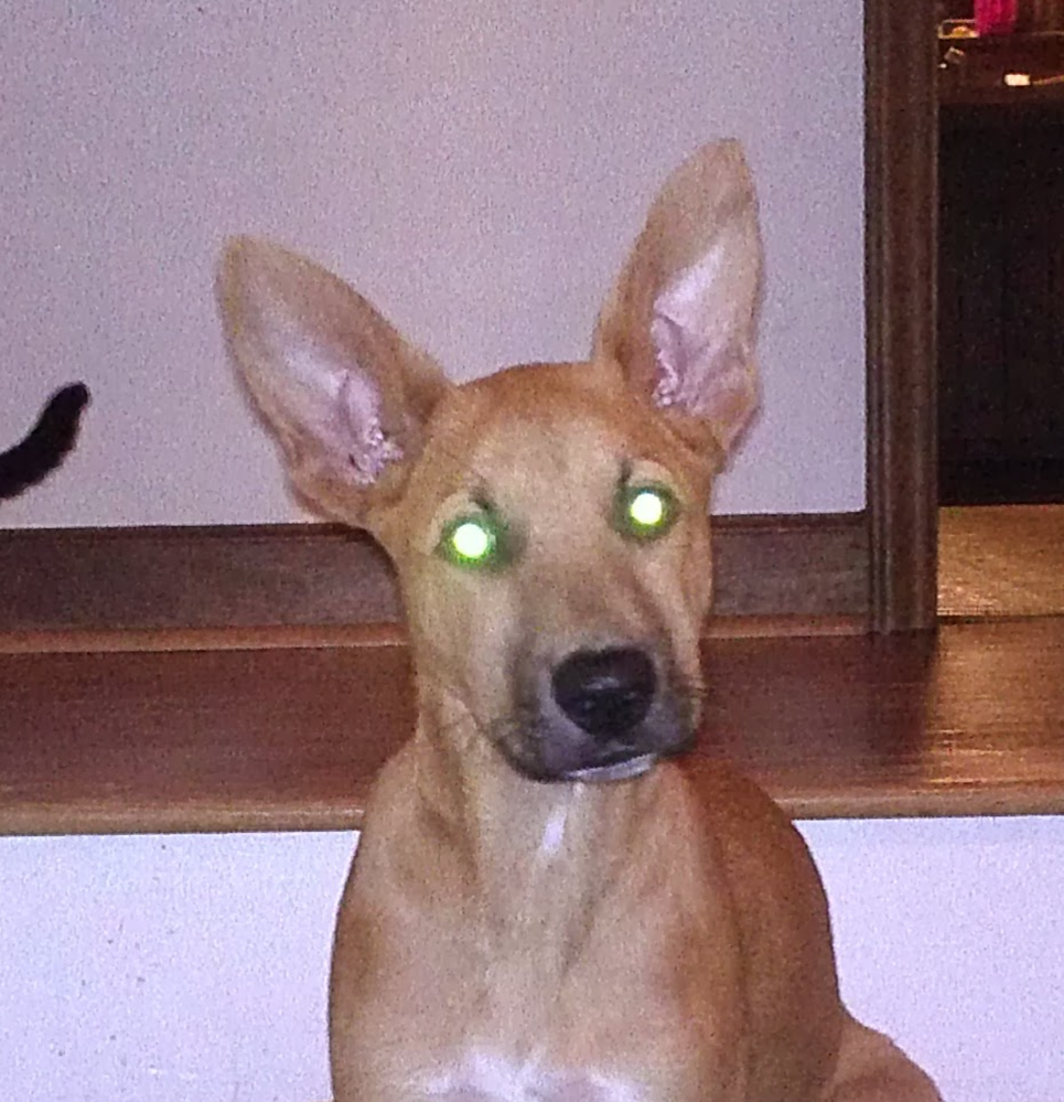 Screenshot 2024-11-11 at 3.20.57 PM.png