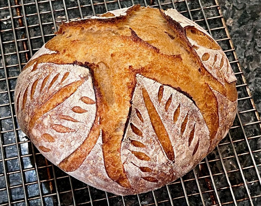 Sourdough for Elsa.jpg