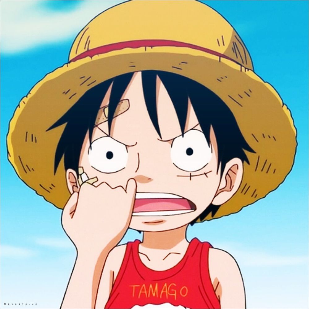 hinh-anh-avatar-Luffy.jpg