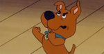 Profile (ScrappyDoo)