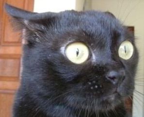 Thermometer Goes Where?.jpg