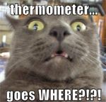 Thermometer.jpg