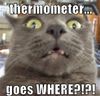 Thermometer.jpg