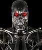terminator2.jpg