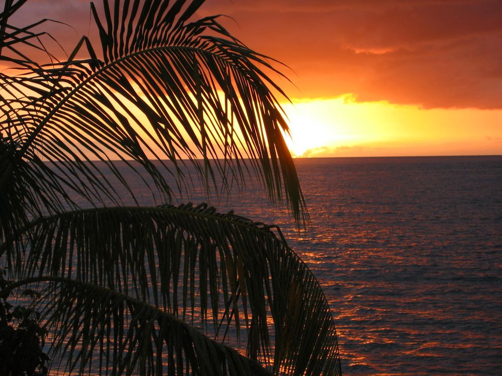 Fiji trip 2006 sunset.jpg