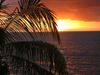 Fiji trip 2006 sunset.jpg
