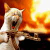 Uzi-cat.gif