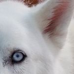 jhuggard