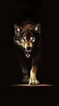 Wolf Coming Out of the Dark.jfif