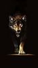 Wolf Coming Out of the Dark.jfif