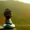 IMG-20200529-WA0003.jpg