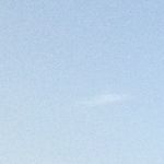 Bradlabs12