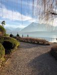 IMG_1336.jpeg
