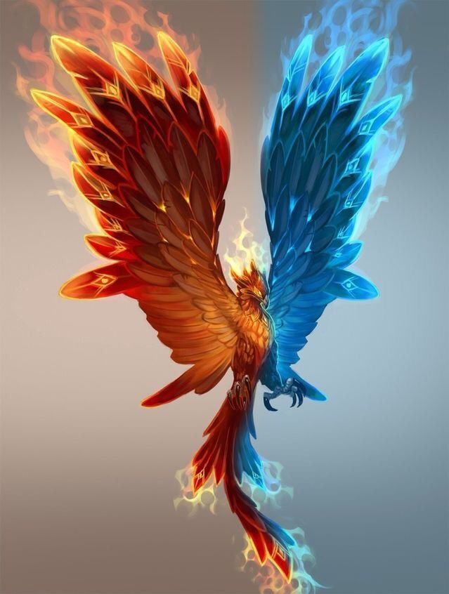phoenix.jpg