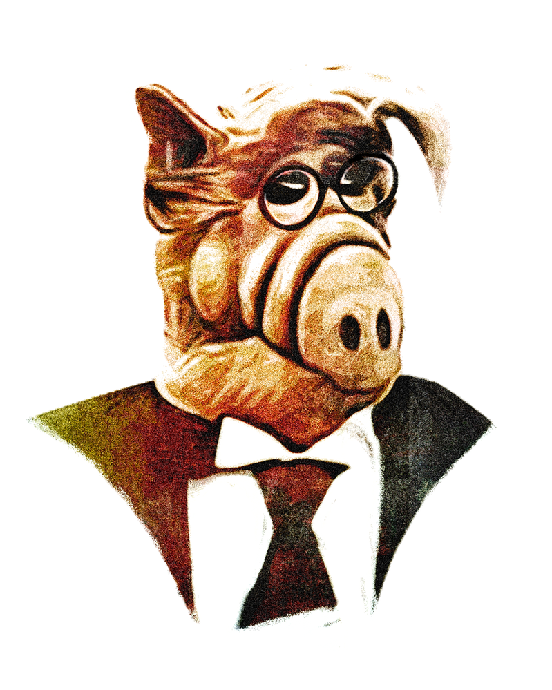 PROFIL-ALF-01.png